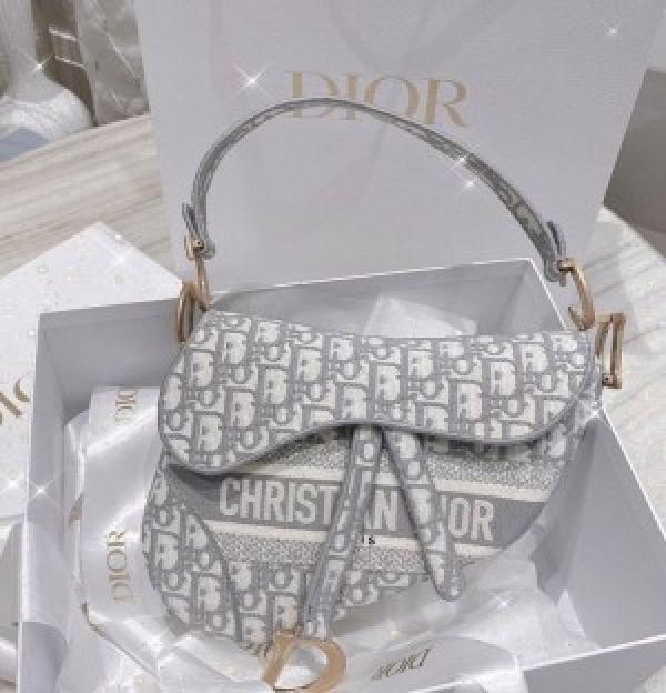 Christian  Dior  Saddle  Grey  Bag  With  Box  Bill  Dust  Bag  &  Sling  Belt  carrybag  554