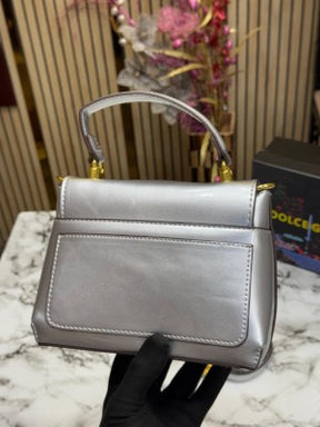 Dolce  &  Gabbana  lacquered  bag  mini  DG Logo  (Silver)