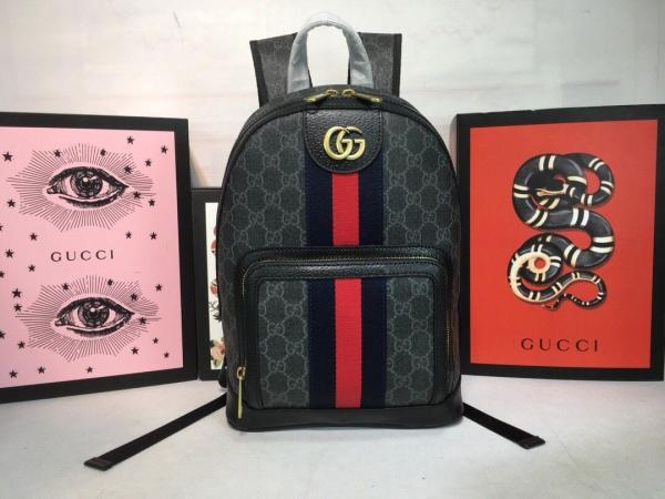 Gucci  GG  small  backpack  with  dust  bag