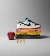 SB Dunk Low CSEF