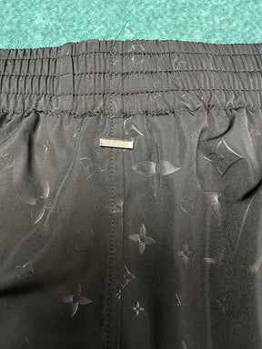 LV Shorts 102210