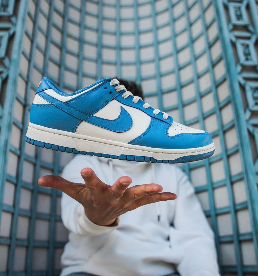 SB Dunk Low